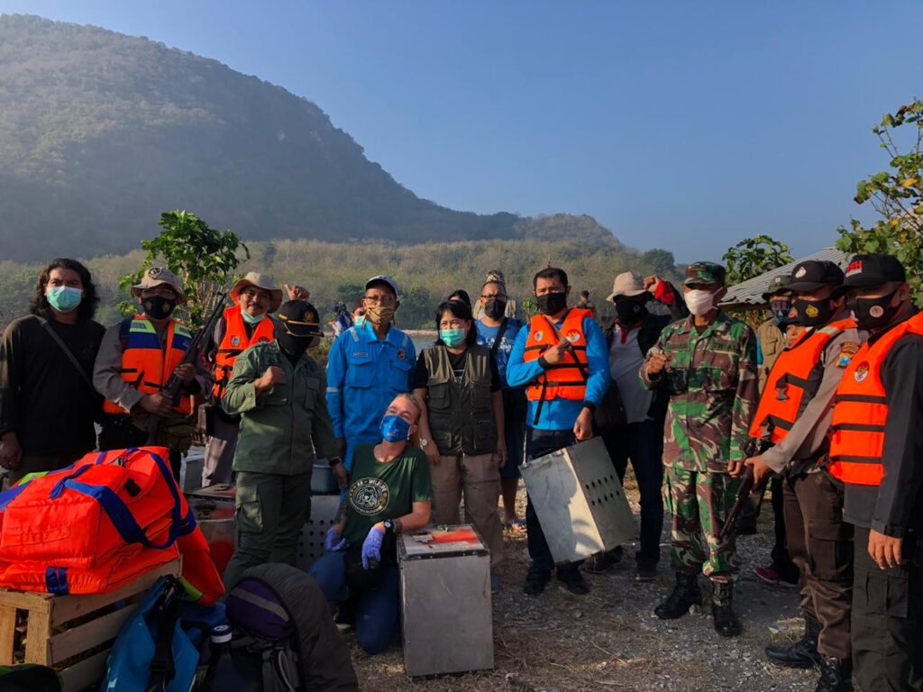 Kembalikan 40 Monyet Ekor Panjang Ke Pulau Nusa Barong Fakta Jember